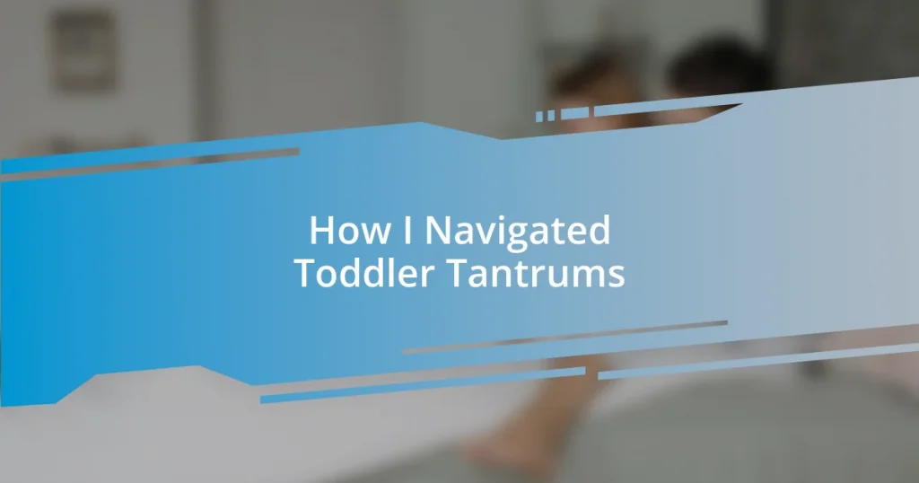 How I Navigated Toddler Tantrums