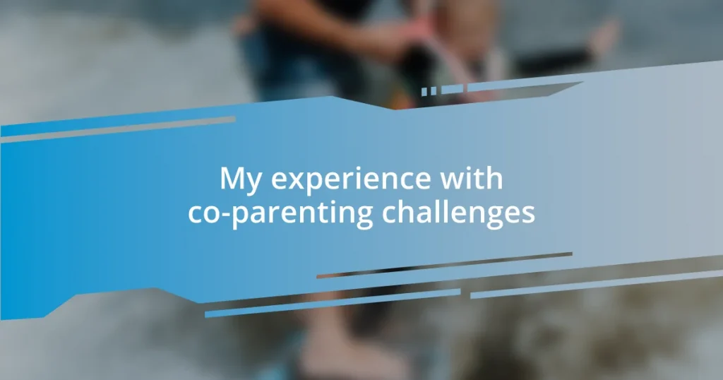 My experience with co-parenting challenges