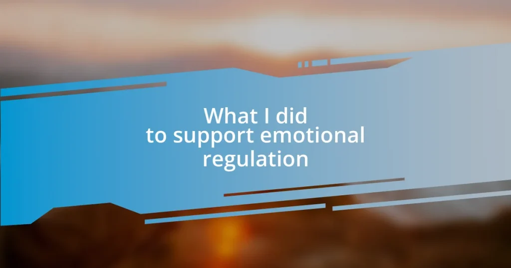 What I did to support emotional regulation